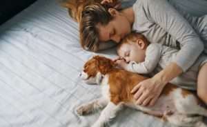 Providing for your pets in your estate plan